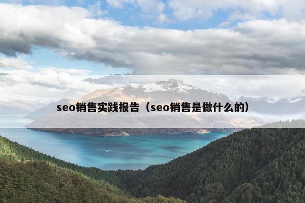 seo销售实践报告（seo销售是做什么的）