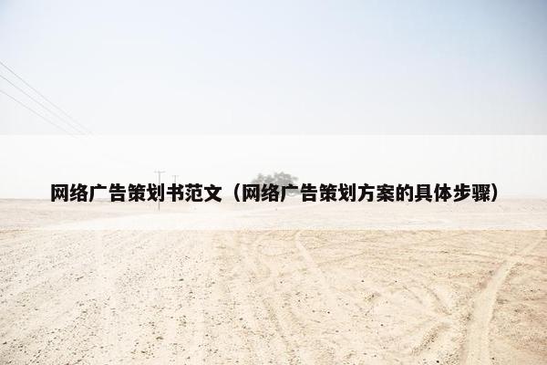 网络广告策划书范文（网络广告策划方案的具体步骤）