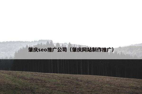 肇庆seo推广公司（肇庆网站制作推广）