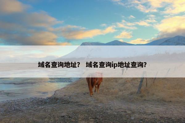 域名查询地址？ 域名查询ip地址查询？