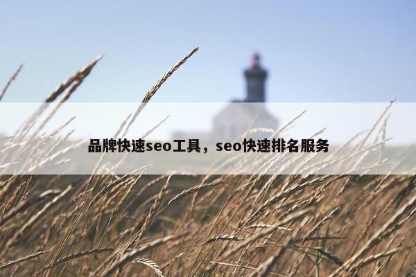 品牌快速seo工具，seo快速排名服务