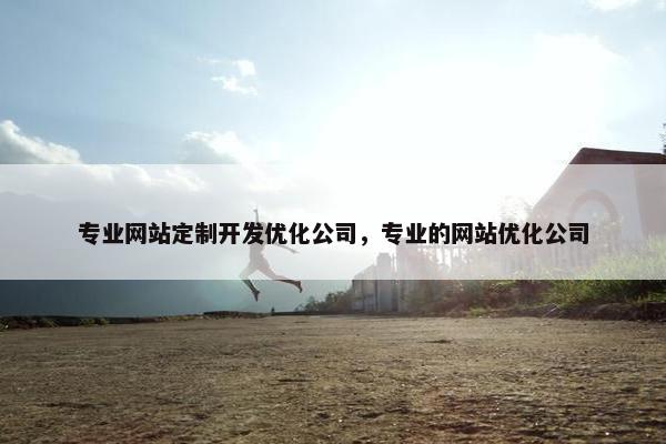 专业网站定制开发优化公司，专业的网站优化公司