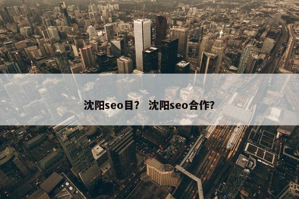 沈阳seo目？ 沈阳seo合作？