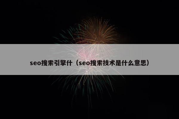seo搜索引擎什（seo搜索技术是什么意思）