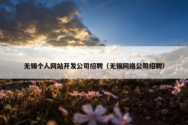 无锡个人网站开发公司招聘（无锡网络公司招聘）