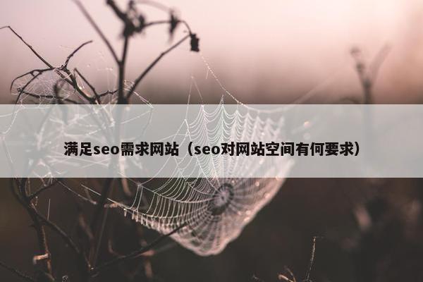 满足seo需求网站（seo对网站空间有何要求）