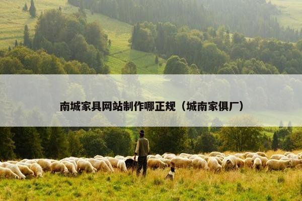 南城家具网站制作哪正规（城南家俱厂）