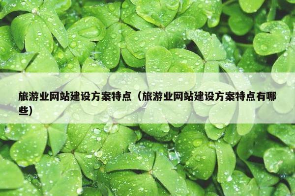旅游业网站建设方案特点（旅游业网站建设方案特点有哪些）