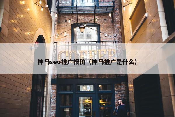 神马seo推广报价（神马推广是什么）