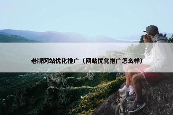 老牌网站优化推广（网站优化推广怎么样）