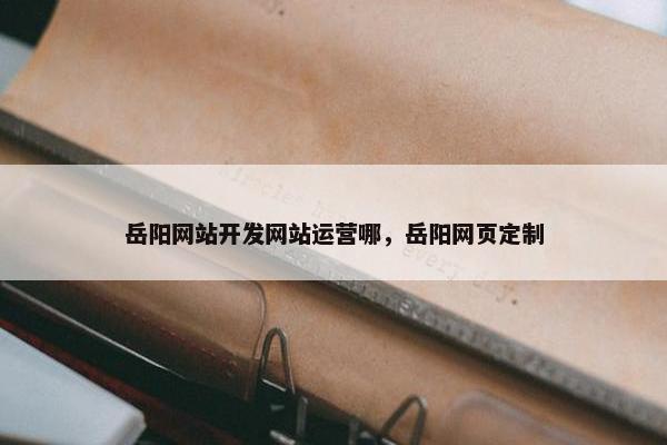 岳阳网站开发网站运营哪，岳阳网页定制