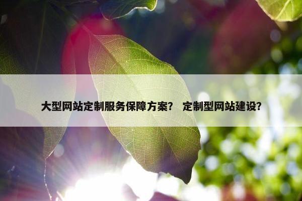 大型网站定制服务保障方案？ 定制型网站建设？
