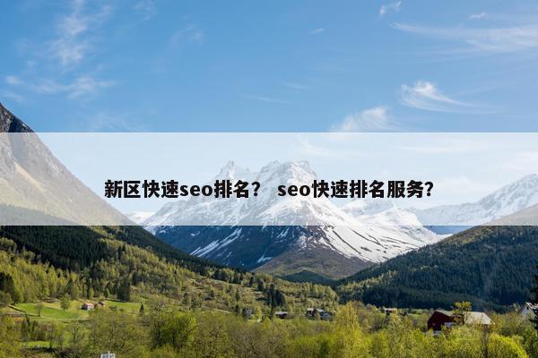 新区快速seo排名？ seo快速排名服务？