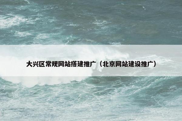大兴区常规网站搭建推广（北京网站建设推广）