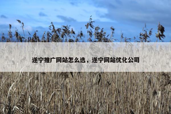 遂宁推广网站怎么选，遂宁网站优化公司