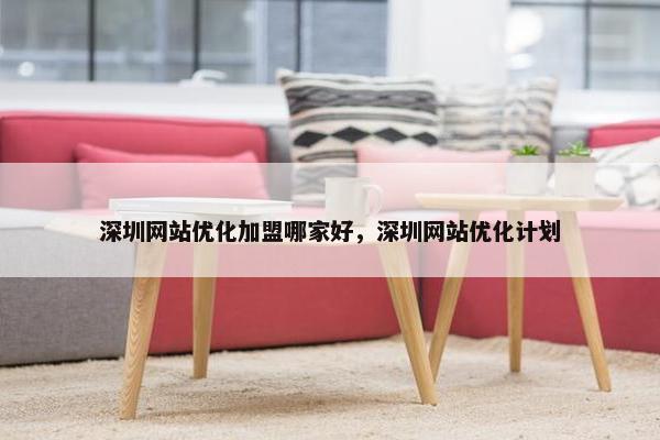 深圳网站优化加盟哪家好，深圳网站优化计划