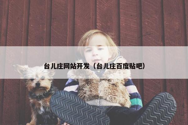 台儿庄网站开发（台儿庄百度贴吧）