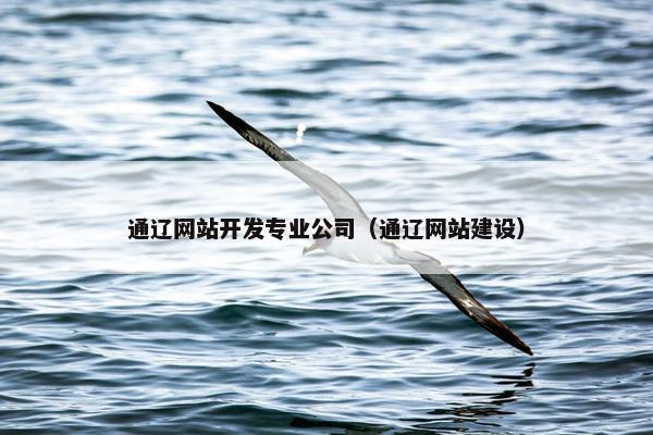 通辽网站开发专业公司（通辽网站建设）