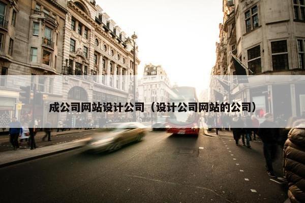 成公司网站设计公司（设计公司网站的公司）