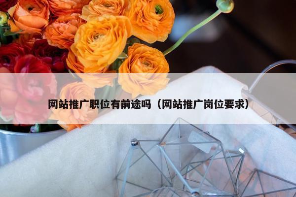 网站推广职位有前途吗（网站推广岗位要求）