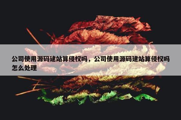 公司使用源码建站算侵权吗，公司使用源码建站算侵权吗怎么处理