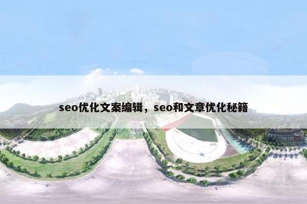 seo优化文案编辑，seo和文章优化秘籍