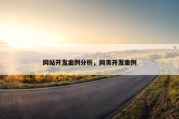 网站开发案例分析，网页开发案例