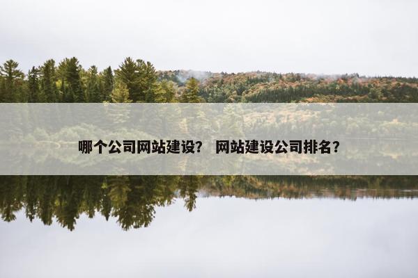 哪个公司网站建设？ 网站建设公司排名？