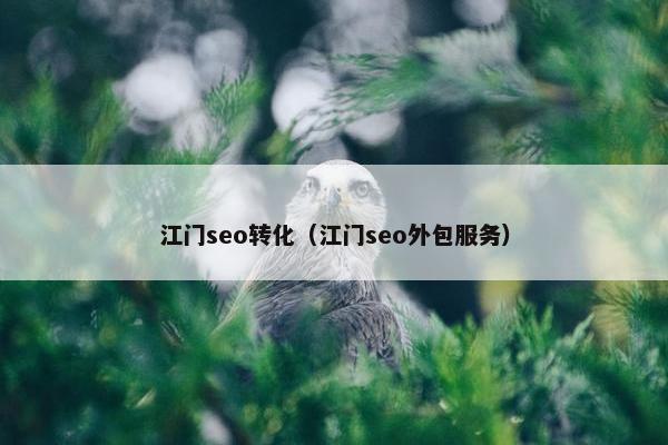 江门seo转化（江门seo外包服务）