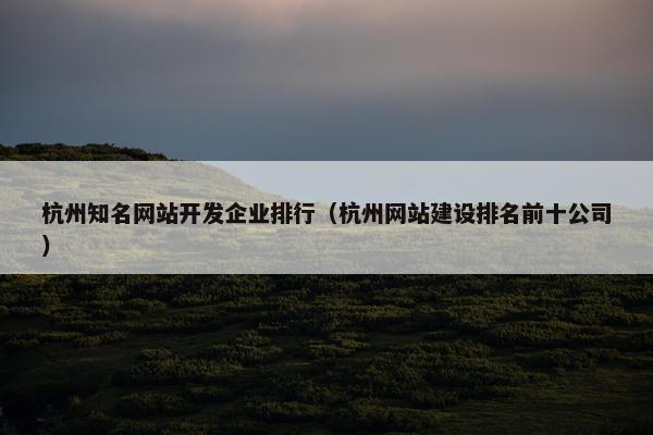 杭州知名网站开发企业排行（杭州网站建设排名前十公司）
