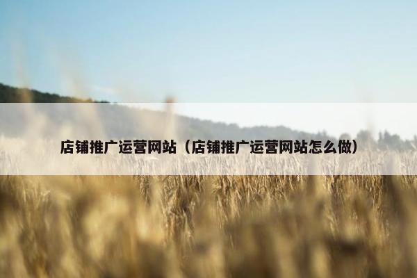 店铺推广运营网站（店铺推广运营网站怎么做）
