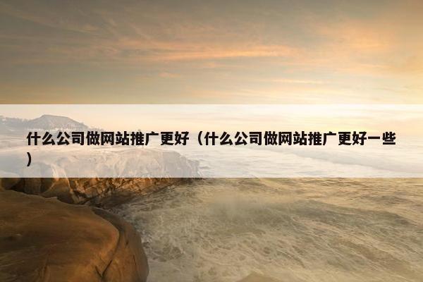 什么公司做网站推广更好（什么公司做网站推广更好一些）