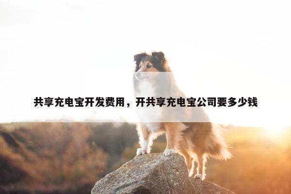 共享充电宝开发费用，开共享充电宝公司要多少钱