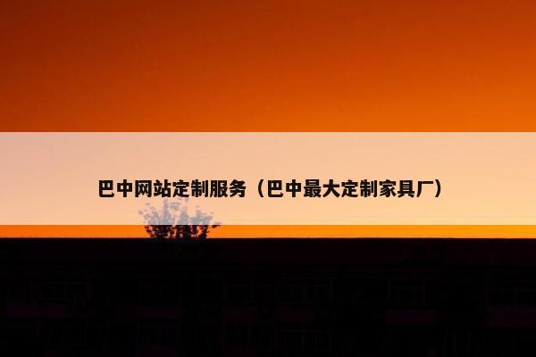 巴中网站定制服务（巴中最大定制家具厂）