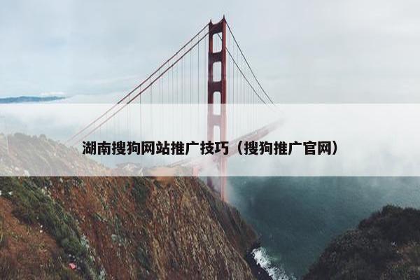 湖南搜狗网站推广技巧（搜狗推广官网）
