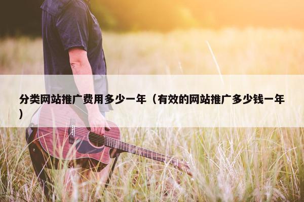 分类网站推广费用多少一年（有效的网站推广多少钱一年）