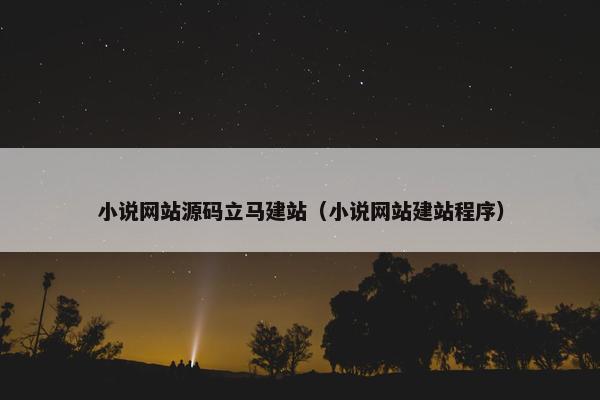 小说网站源码立马建站（小说网站建站程序）
