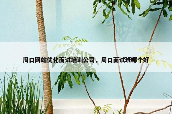 周口网站优化面试培训公司，周口面试班哪个好