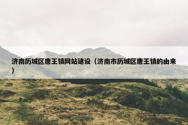 济南历城区唐王镇网站建设（济南市历城区唐王镇的由来）