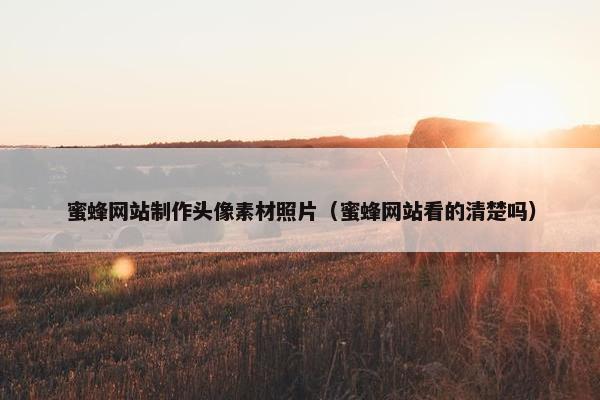 蜜蜂网站制作头像素材照片（蜜蜂网站看的清楚吗）