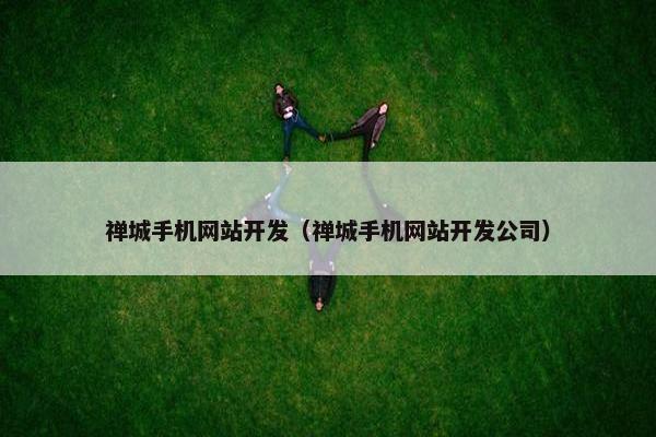 禅城手机网站开发（禅城手机网站开发公司）