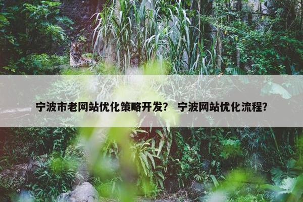 宁波市老网站优化策略开发？ 宁波网站优化流程？