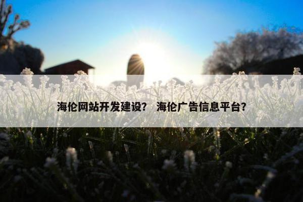 海伦网站开发建设？ 海伦广告信息平台？
