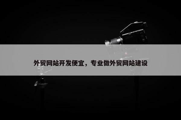 外贸网站开发便宜，专业做外贸网站建设