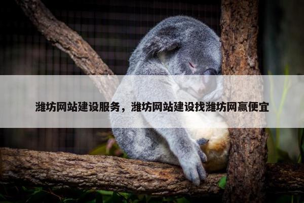 潍坊网站建设服务，潍坊网站建设找潍坊网赢便宜