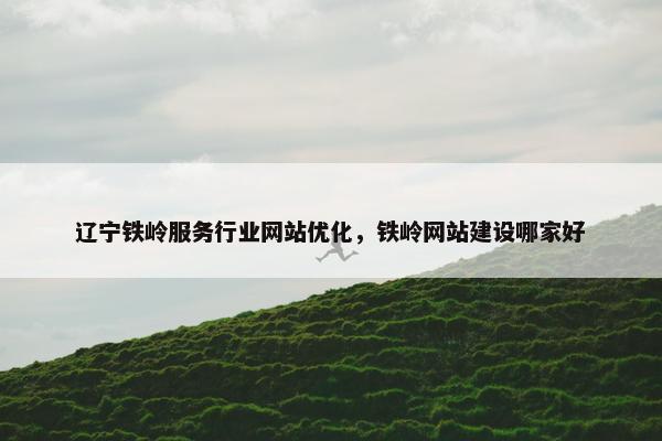 辽宁铁岭服务行业网站优化，铁岭网站建设哪家好