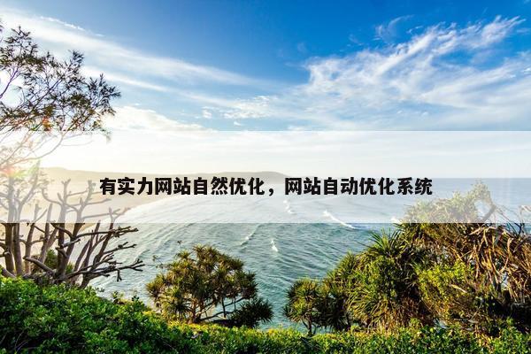 有实力网站自然优化，网站自动优化系统
