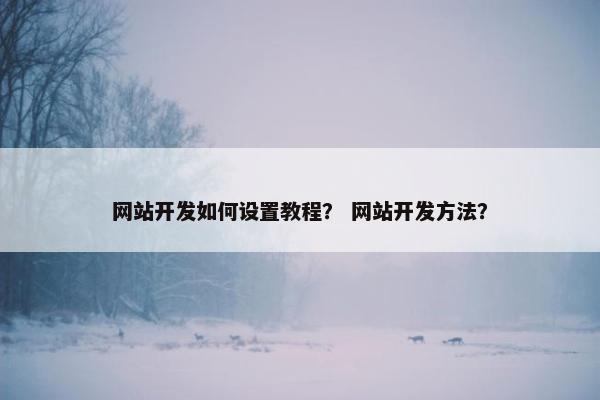 网站开发如何设置教程？ 网站开发方法？