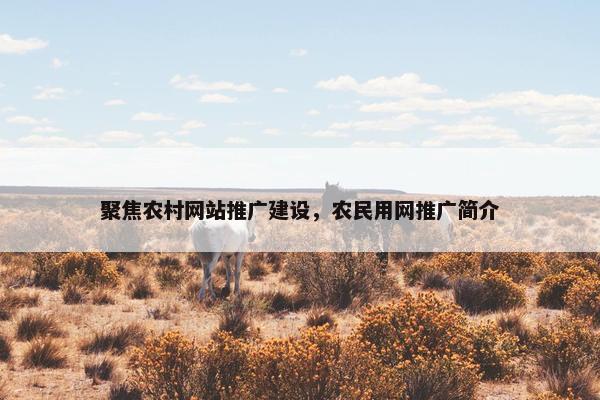聚焦农村网站推广建设，农民用网推广简介