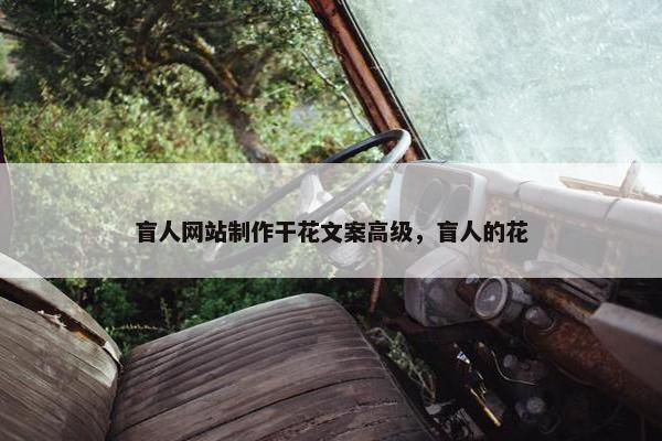盲人网站制作干花文案高级，盲人的花